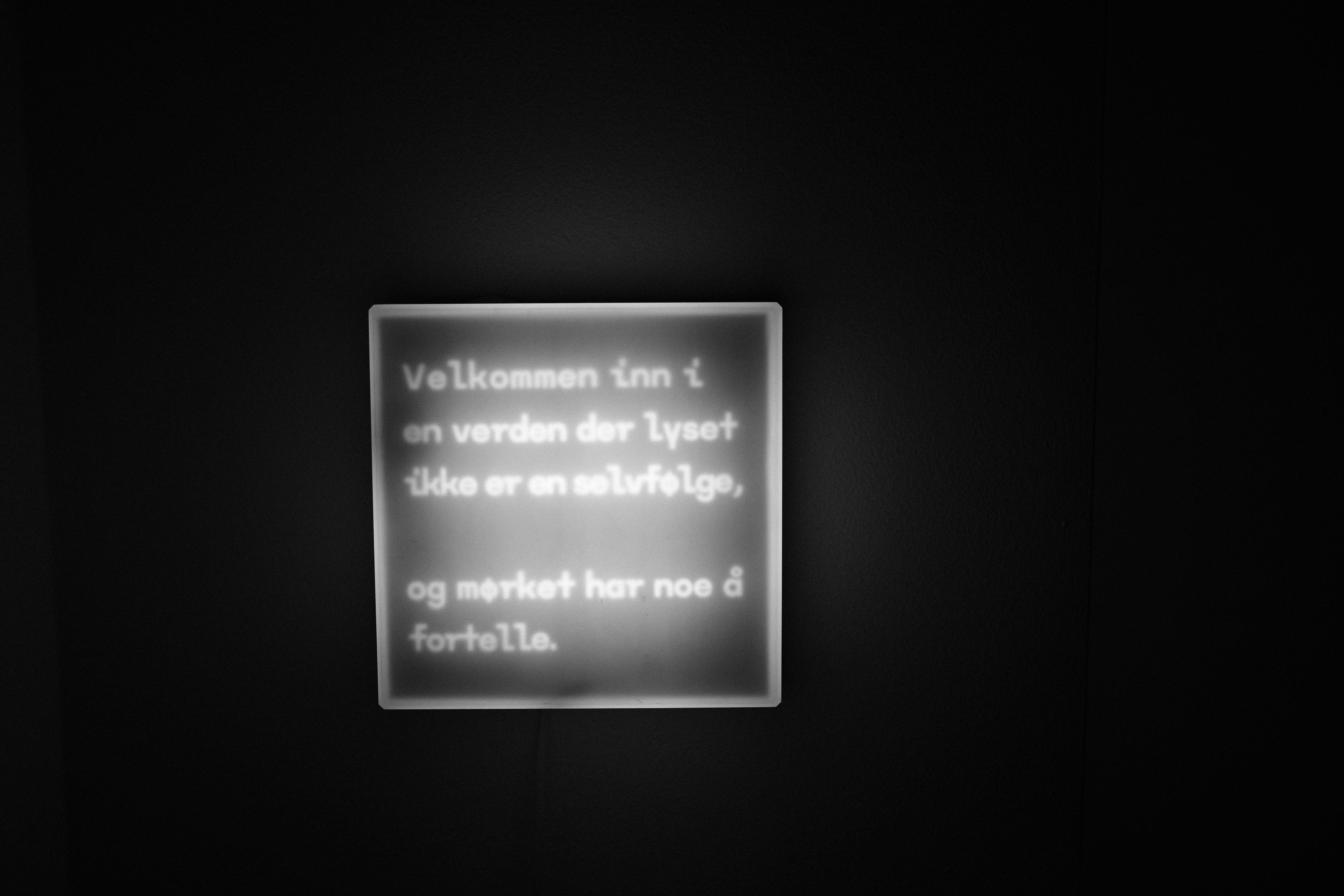 Portrait of Amélie Dupont